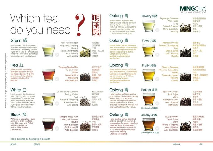 MingCha tea classification chart showing green, oolong and red teas by oxidation level
